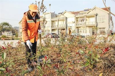 曲阜市陵城镇环境卫生整治